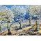 Tyrrhenian Shire by Roy Forster